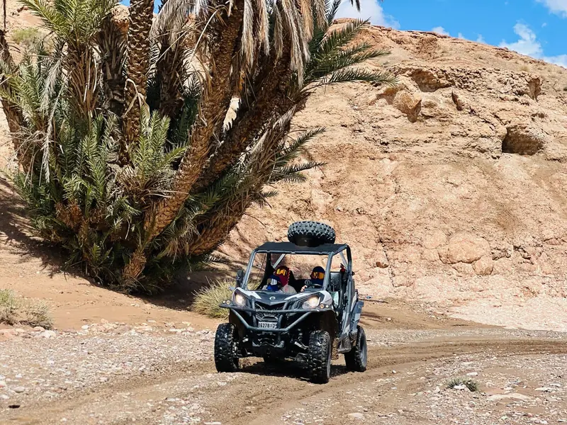 A buggy parked under a large palm at the edge of a rocky valley