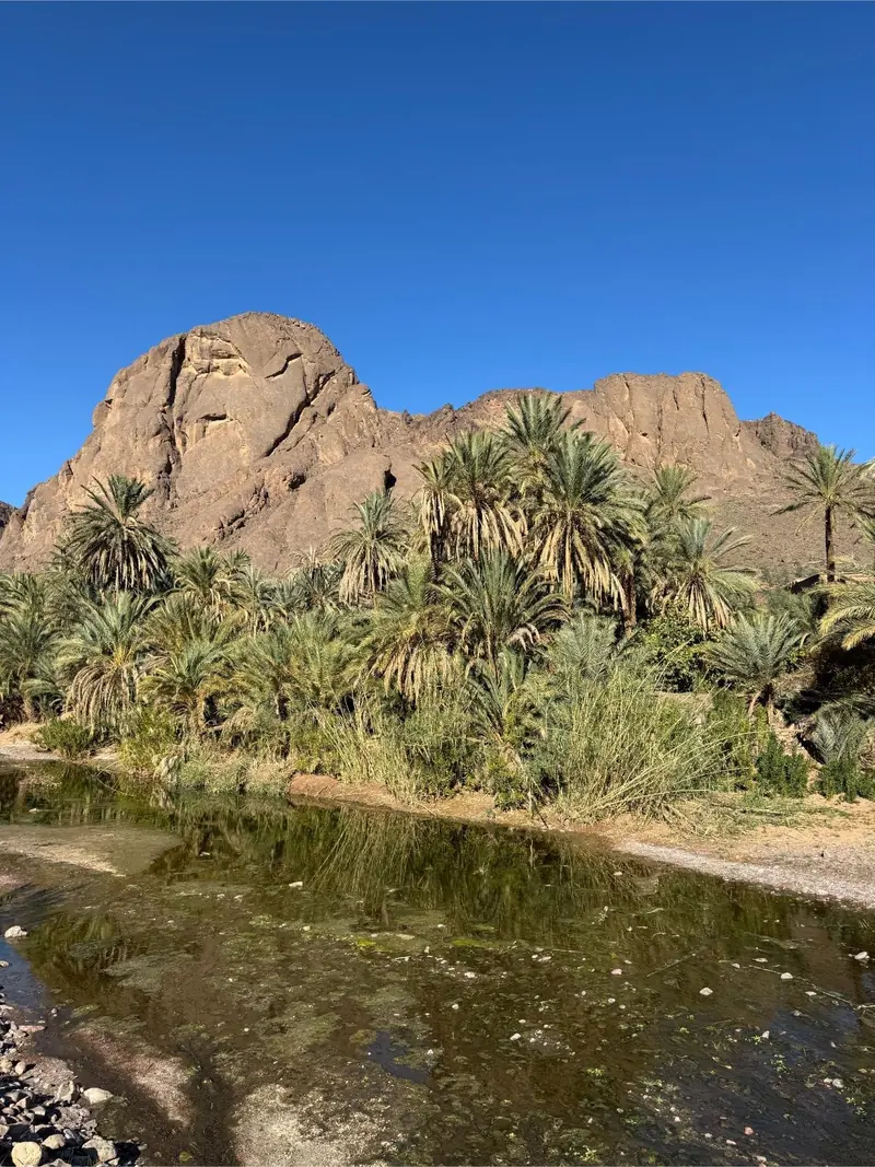 Un bassin de la rivière de Fint sous les palmiers et la roche