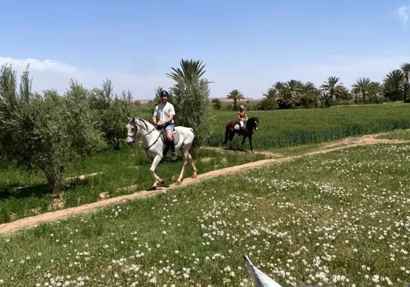 A rider on a grey horse crossing green fields