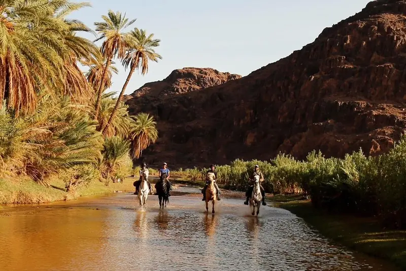 Horses in the water of a palm oasis below red cliffs