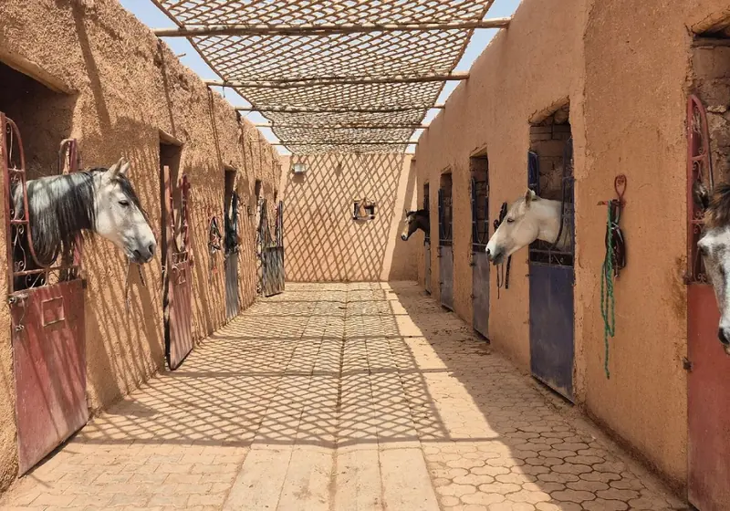Horses waiting in the stables before a ride