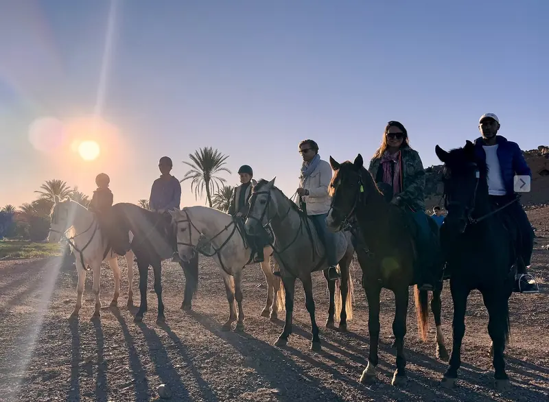 Riders and horses silhouetted at sunset