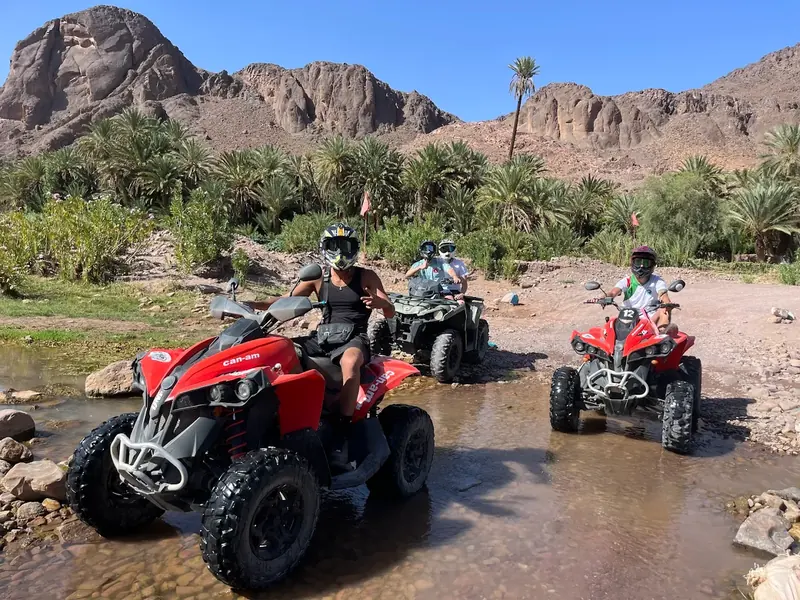 Red quads crossing a stream lined with palm trees
