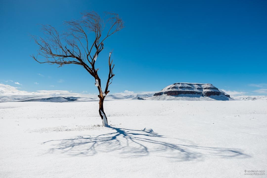 fint-under-snow-azizi-abdellah-0565.jpg